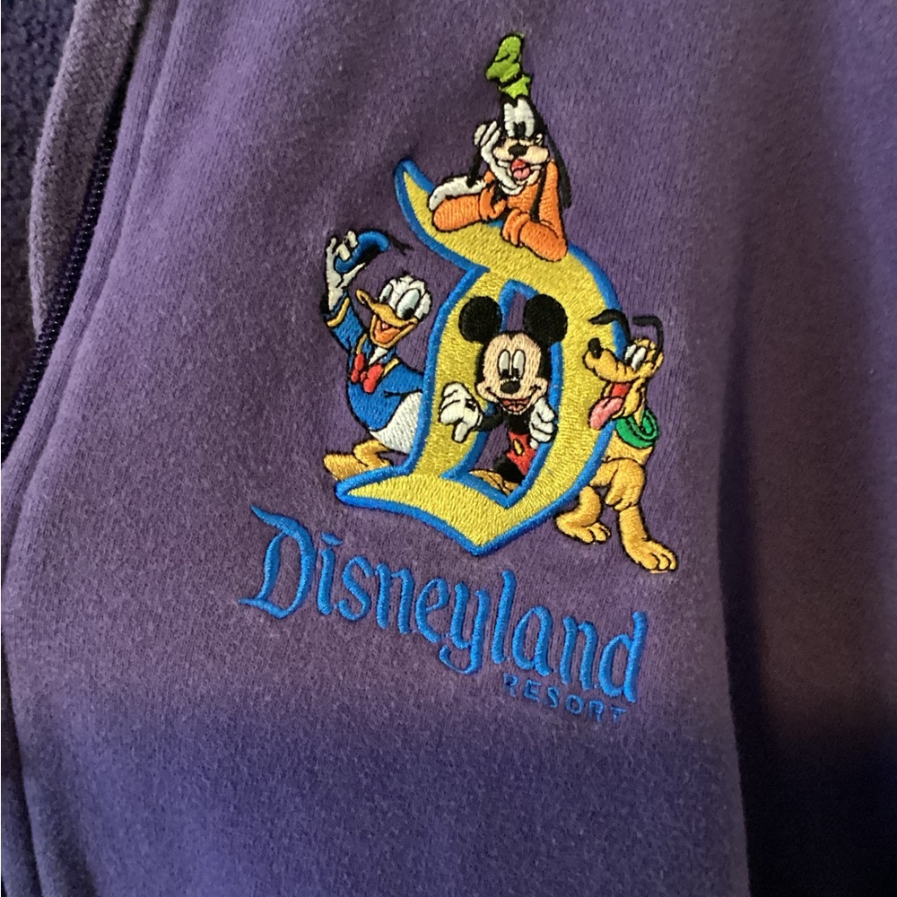 Disney Land Hoodie